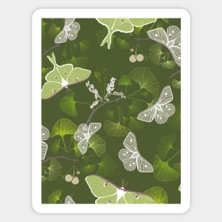 Butterflies Luna Moth Green Sticker